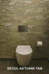 SEOUL AUTUMN BIRTHDAY